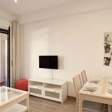 Gongora Dm 科爾多瓦